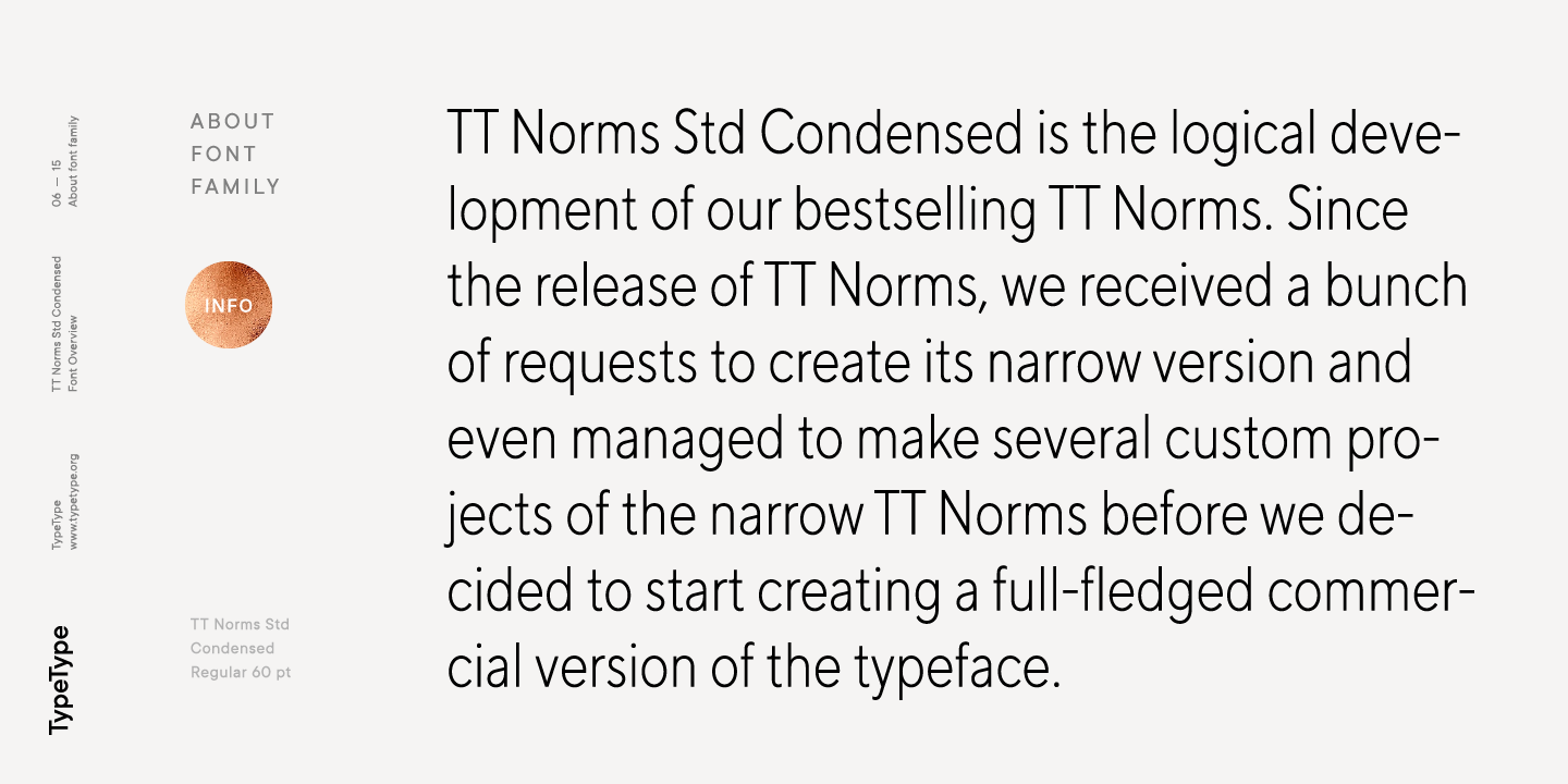 TT Norms Std Condensed Thin Font preview